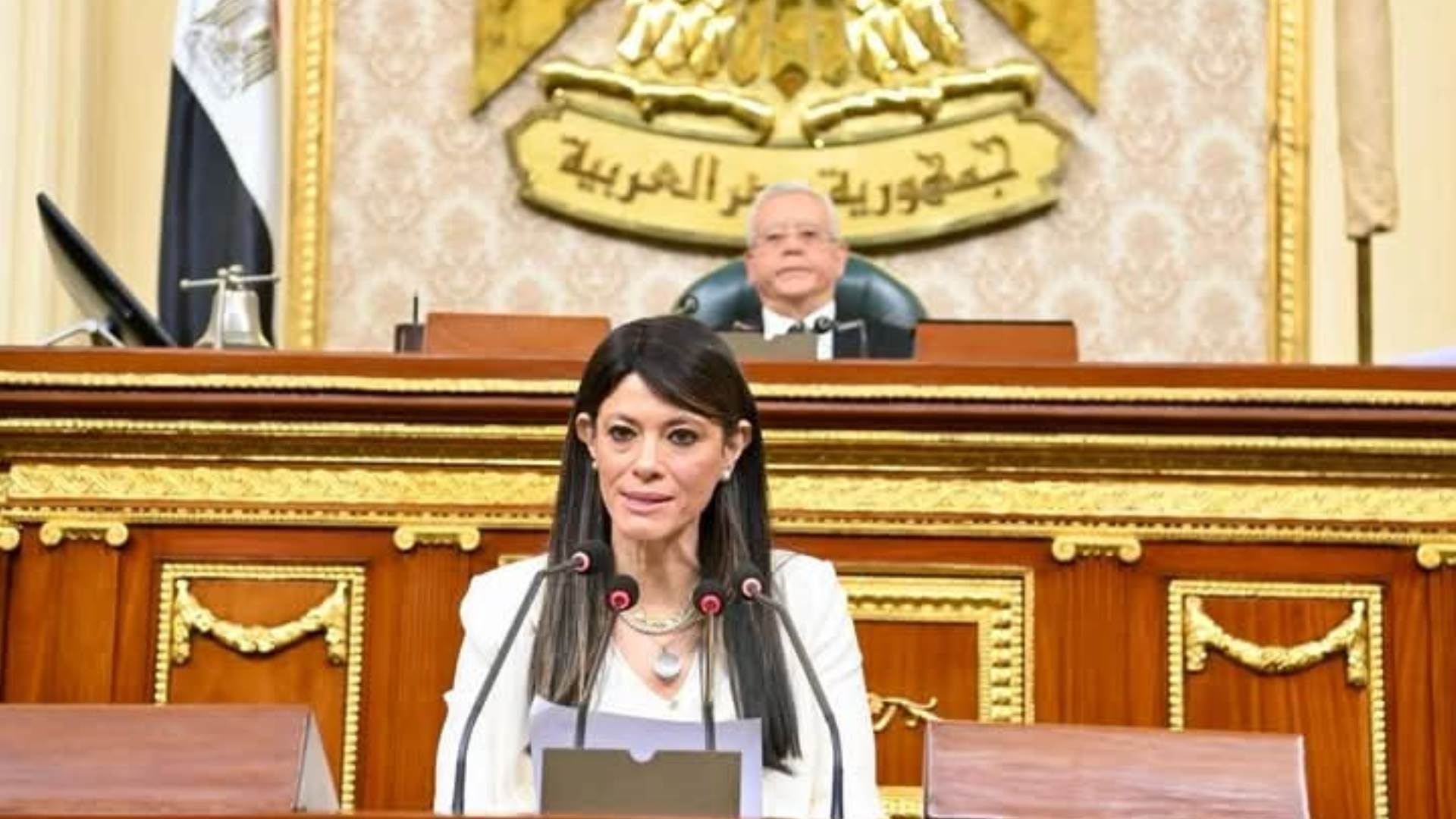 وزيرة التخطيط: زيادة الاستثمارات الخاصة إلى 1.94 تريليون جنيه بنسبة 62.7% من الاستثمارات الكلية