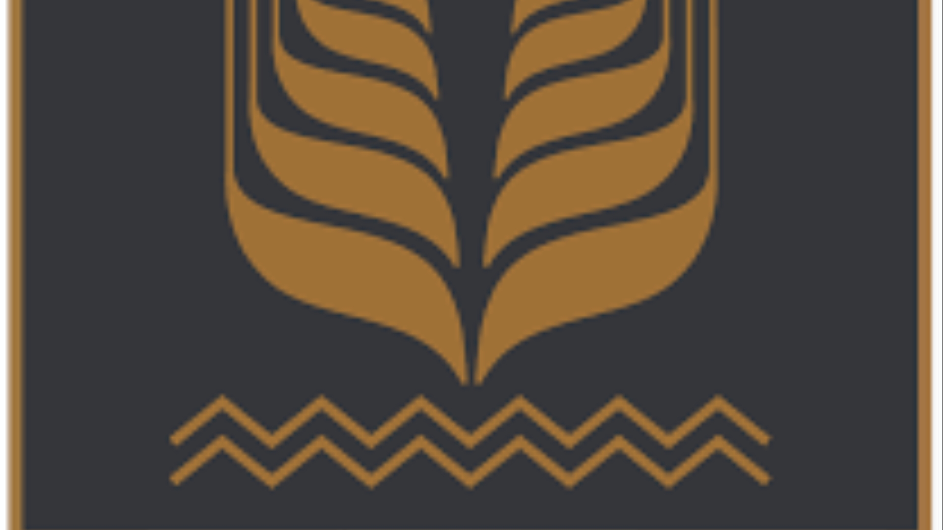 البنك الزراعي المصري FirstBank