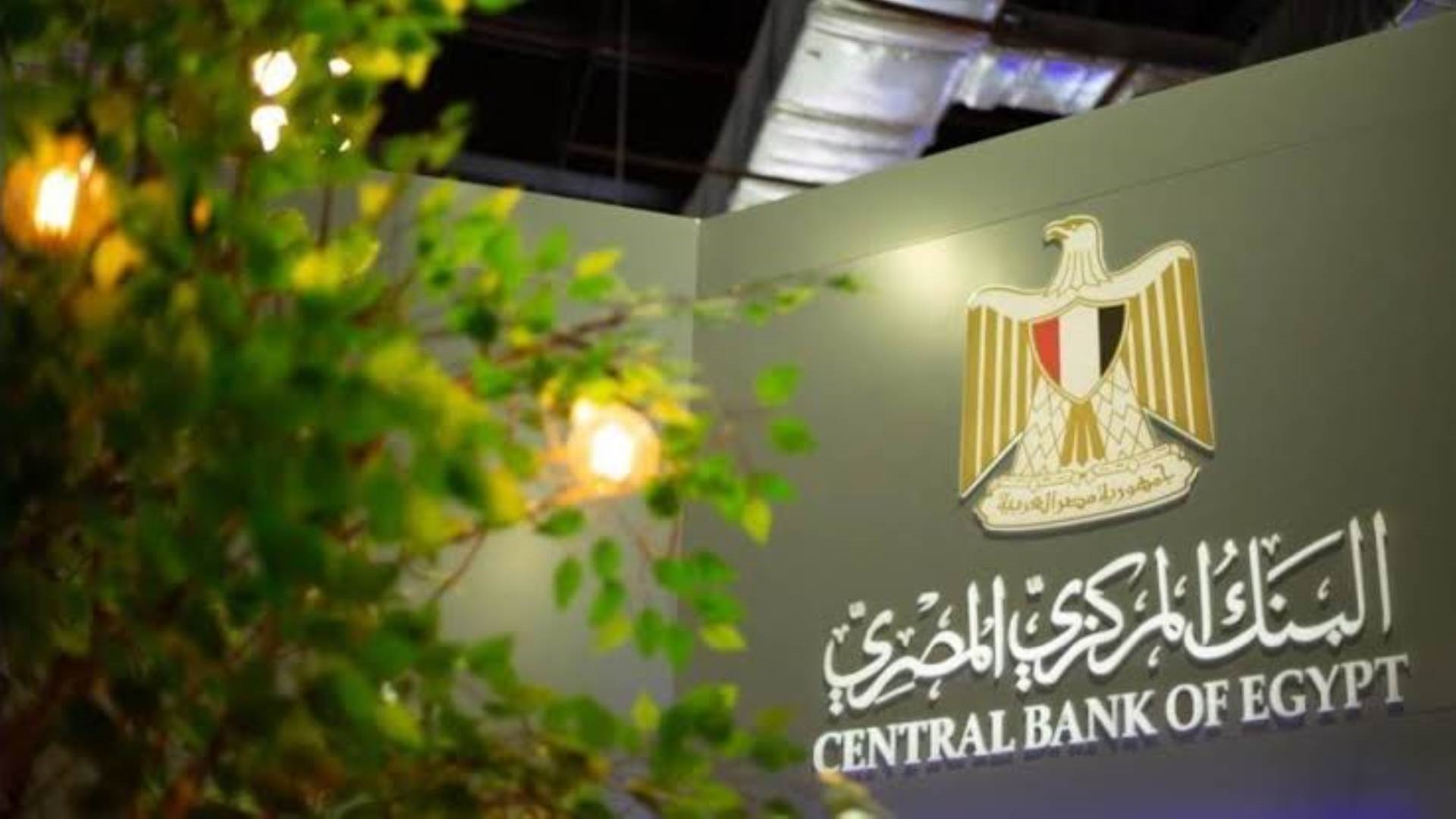تقرير البنك المركزي المصري FirstBank