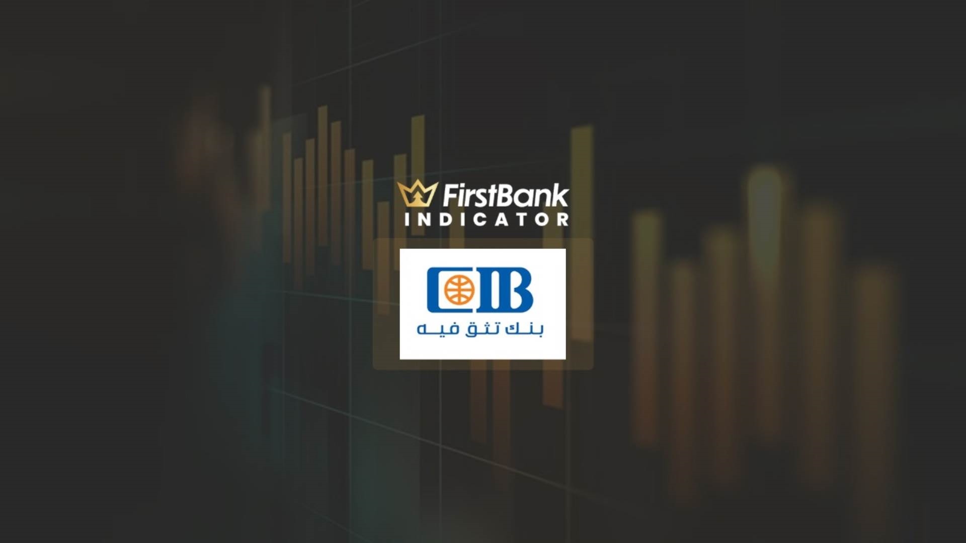البنك التجاري الدولي-CIB FirstBank