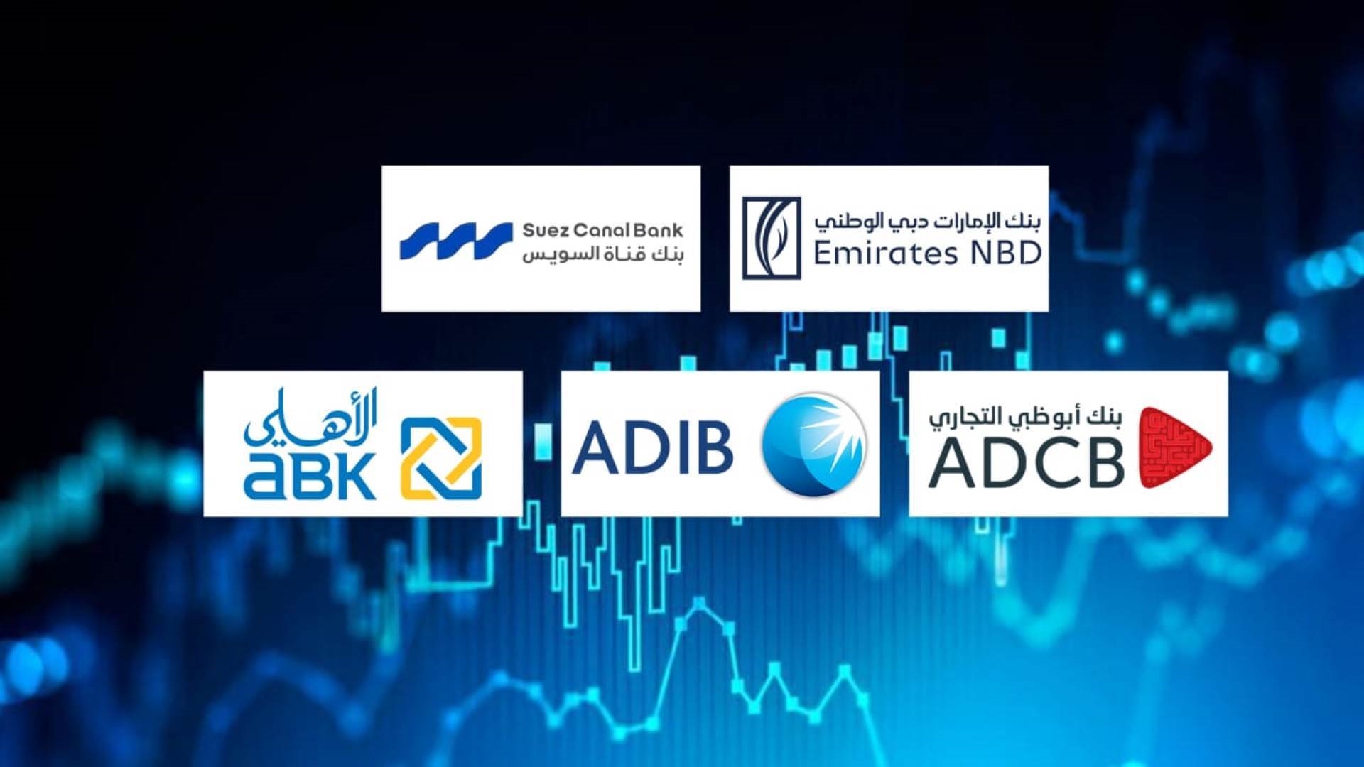 «الإمارات دبي الوطني» وبنك قناة السويس و«أبوظبي التجاري» أسرع بنوك القطاع الخاص نموًا في الأصول خلال أول 9 أشهر 2025