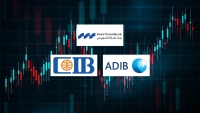 بنك قناة السويس و«ADIB-Egypt» و«CIB» أسرع البنوك المدرجة بالبورصة المصرية نموًا في تمويلات العملاء بعد تحييد سعر الصرف خلال 2025