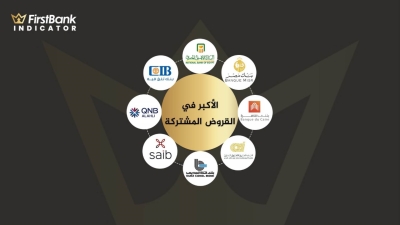 «الأهلي» و«مصر» و«التجاري الدولي» و«العربي الأفريقي» أكبر البنوك المصرية فى محافظ القروض المشتركة