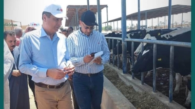 رئيس البنك الزراعي يحتفل بوصول 1000 من الأبقار المستوردة بمحطة الإنتاج الحيوانى