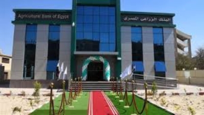 البنك الزراعي يضاعف التمويل الموجه للقروض الزراعية.. و7.6 مليار جنيه حجم قروض المحاصيل