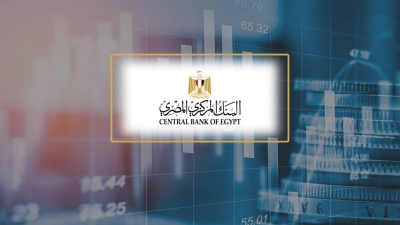 البنك المركزي: الائتمان المحلي يمثل 67.3% من إجمالي أصول القطاع المصرفي في يونيو 2022