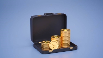 قاموس «First».. ما هي المحفظة الاستثمارية؟