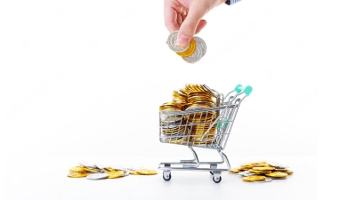 ما المقصود بـ «فجوة التمويل» وما علاقتها بالإدخار؟