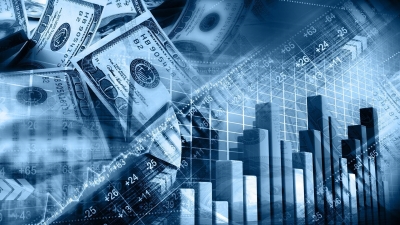 مما يتكون احتياطي النقد الأجنبي وما أهميته؟