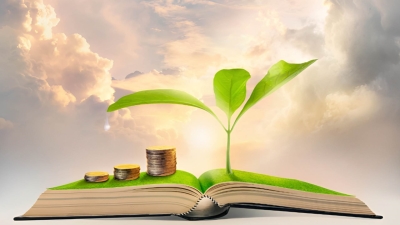 قاموس «First».. ما المقصود باقتصاد المعرفة وما دوره في تحقيق النمو الاقتصادي؟