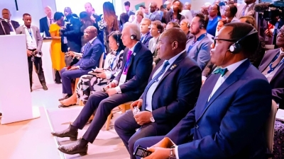 رئيس «الأفريقي للتنمية» يدعو قادة الأعمال للاستثمار في أفريقيا لتسريع عملية إزالة الكربون