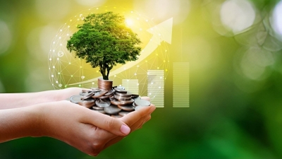 «أخضر»: «المركزي المصري» يعزز جهوده في ملف الاستدامة