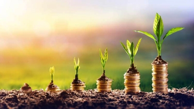 قاموس «First».. ما هو التمويل المستدام؟