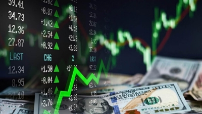 قاموس «First».. ما الفرق بين السند والسهم؟