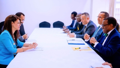 وزيرة التعاون تلتقي رئيس بنك التنمية الأفريقي لمناقشة محفظة التعاون المشترك