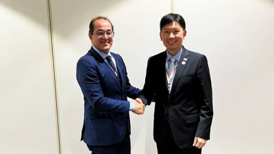 وزير المالية تطوير بيئة الأعمال المصرية لتصبح أكثر جذبًا للمستثمرين