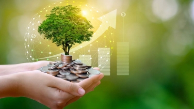 أخضر: سياسات البنوك المصرية تجاه تغير المناخ: من القرارات الاستثمارية إلى العمليات اليومية