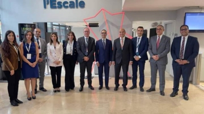 الاستثمارات الأجنبية المباشرة في مصر تصل إلى 46.1 مليار دولار خلال العام المالي 2023/ 2024