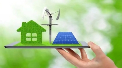 أخضر: مساهمة القطاع الخاص في التحول نحو الاقتصاد الأخضر وتعزيز الاستدامة البيئية