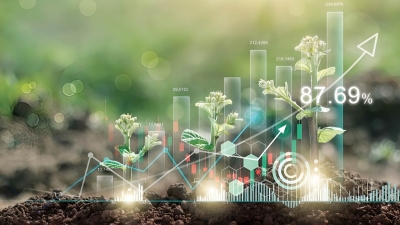 قاموس «First».. ما هي التعليمات الخاصة بالتمويل المستدام؟