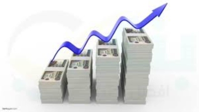 أسرع 5 بنوك مدرجة نموًا في حقوق الملكية خلال 2024 