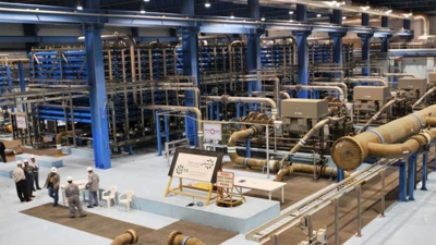 قاموس «First».. ما المقصود بالندرة الاصطناعية؟