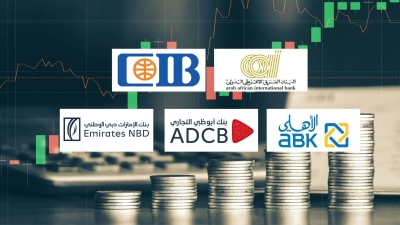 «العربي الإفريقي» و«CIB» و«الأهلي الكويتي - مصر» أسرع بنوك القطاع الخاص نموًا في ودائع الأفراد آخر 3 سنوات
