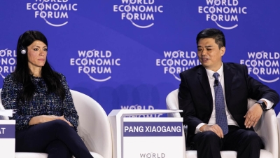 وزيرة التخطيط تستعرض جهود مصر للتحول نحو الطاقة النظيفة والشراكة مع مؤسسات التمويل الدولية لحشد استثمارات القطاع الخاص