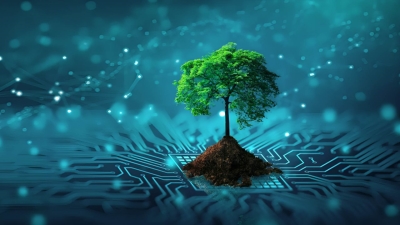 أخضر: التحول الرقمي الأخضر.. ضرورة تشغيلية وليست رفاهية