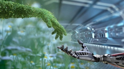 قاموس «First».. ما المقصود بالاقتصاد منخفض الكربون؟