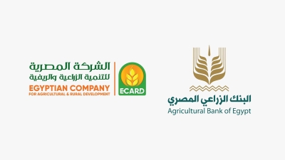 «المصرية للتنمية الزراعية والريفية» التابعة لـ«الزراعي المصري» تعتزم استثمار 4 مليار جنيه في مشروعات متنوعة خلال 2026