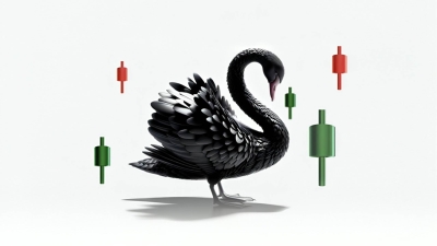 قاموس «First».. ماذا تعرف عن مصطلح البجعة السوداء؟