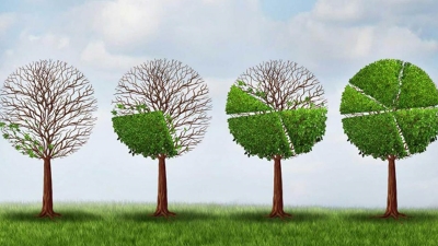 قاموس «First».. ما المقصود بـ اقتصاد الندرة؟