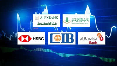 «فيصل الإسلامي» و«الإسكندرية» و«البركة» أكثر بنوك القطاع الخاص تركيزًا على ودائع الأفراد بنهاية يونيو 2025