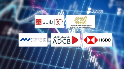 «العربي الإفريقي» و«saib» و«HSBC» أكثر بنوك القطاع الخاص تركيزًا على الاستثمار في التمويلات المشتركة بنهاية سبتمبر 2025