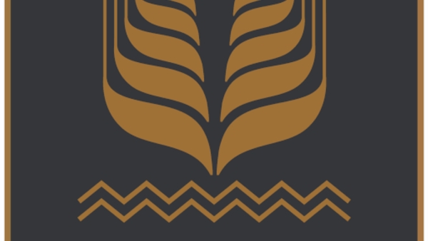 البنك الزراعي المصري يقوم بسداد ديون الغارمات بالفيوم بقيمة 87 ألف جنيه