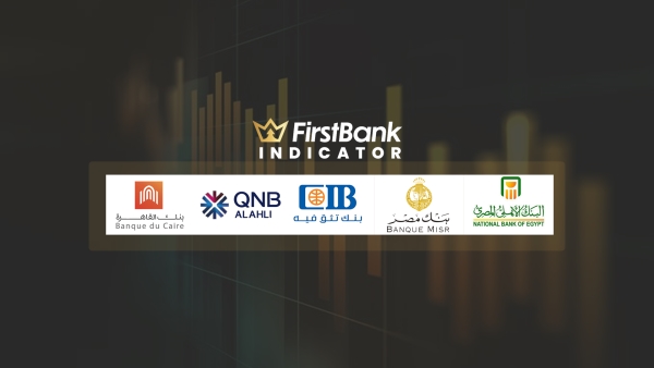 مؤشر الحصص: 5 بنوك تسيطر على سوق قروض القطاع العائلي