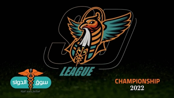 إنطلاق النسخة الأولى من بطولة «كأس سوق الدواء»