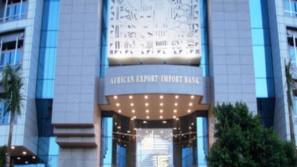 «أفريكسم بنك» يؤكد ضرورة اتخاذ COP27 إجراءات عاجلة لمعالجة فجوة التنمية