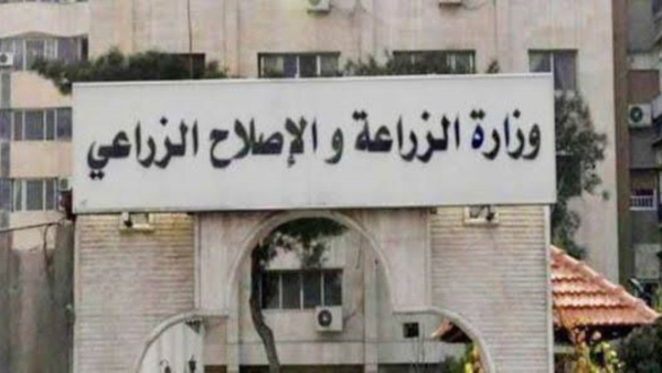 الزراعة: الإفراج عن مستلزمات أعلاف بـ79 مليون دولار خلال الأسبوع الماضي بالتنسيق مع «المركزي»