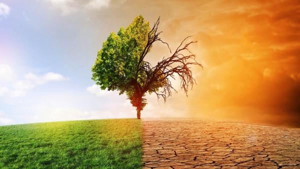 أخضر: المرأة الأكثر تضررًا من آثار تغير المناخ