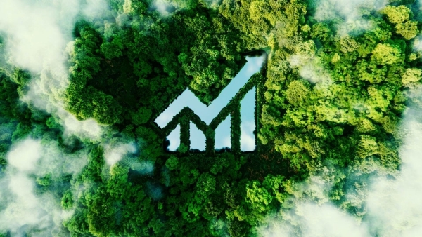 أخضر: تمويل المناخ وخطي مصر البارزة فى هذا الملف