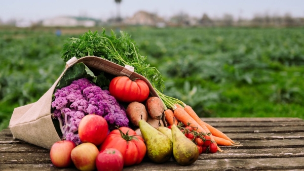 قاموس «First».. ما هو الإكتفاء الذاتي وما سُبل تحقيقه؟