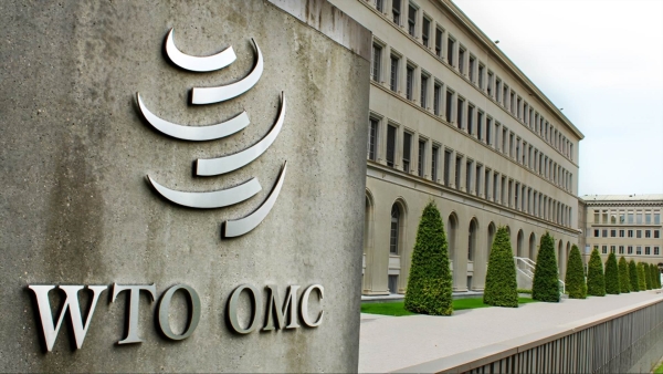 قاموس «First».. ما هى منظمة التجارة العالمية وما أهميتها؟