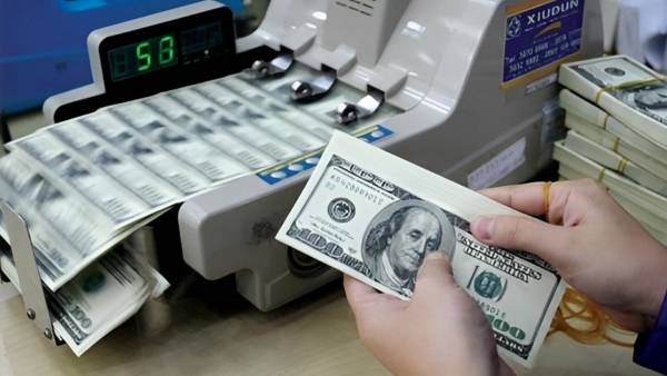 قاموس «First».. ما هى شركات الصرافة؟