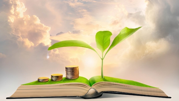 قاموس «First».. ما المقصود باقتصاد المعرفة وما دوره في تحقيق النمو الاقتصادي؟