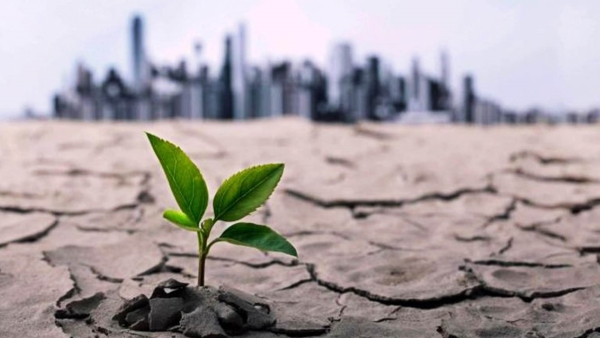 أخضر: كيف تؤثر التغيرات المناخية على سوق العمل؟