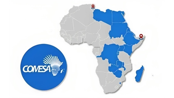 قاموس «First».. ماذا تعرف عن نظام الدفع والتسوية الاقليمى لدول الكوميسا؟