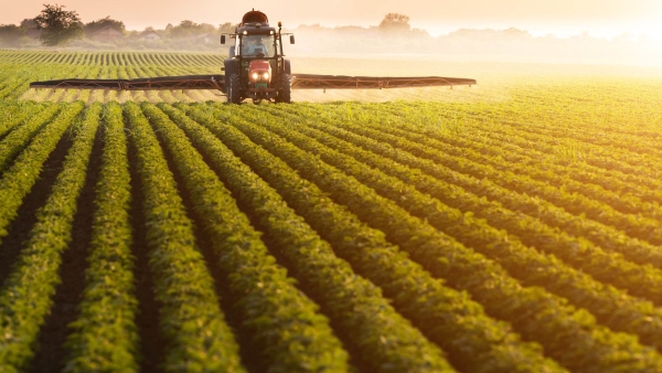 قاموس «First».. ما المقصود بالزراعة المستدامة؟