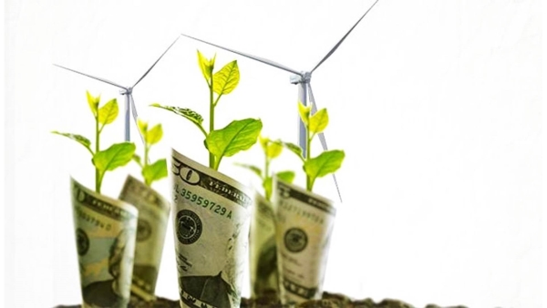 قاموس «First».. ما هى الصيرفة الخضراء؟